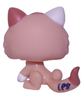 #1818 Kitten